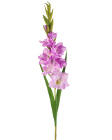 La Fleur Artificielle Glaïeul 93 cm violet est une tige de glaïeul artificiel avec des fleurs violet clair et roses, des feuilles et des bourgeons verts sur fond blanc.