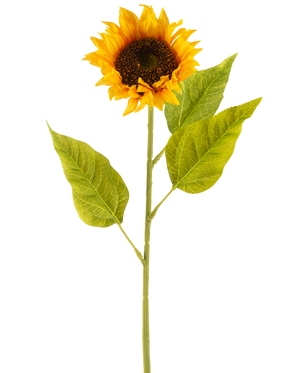 La Fleur Artificielle Tournesol 71 cm jaune est un tournesol artificiel avec des pétales jaune vif, un cœur marron foncé et trois grandes feuilles vertes sur une longue tige verte, sur un fond uni blanc.