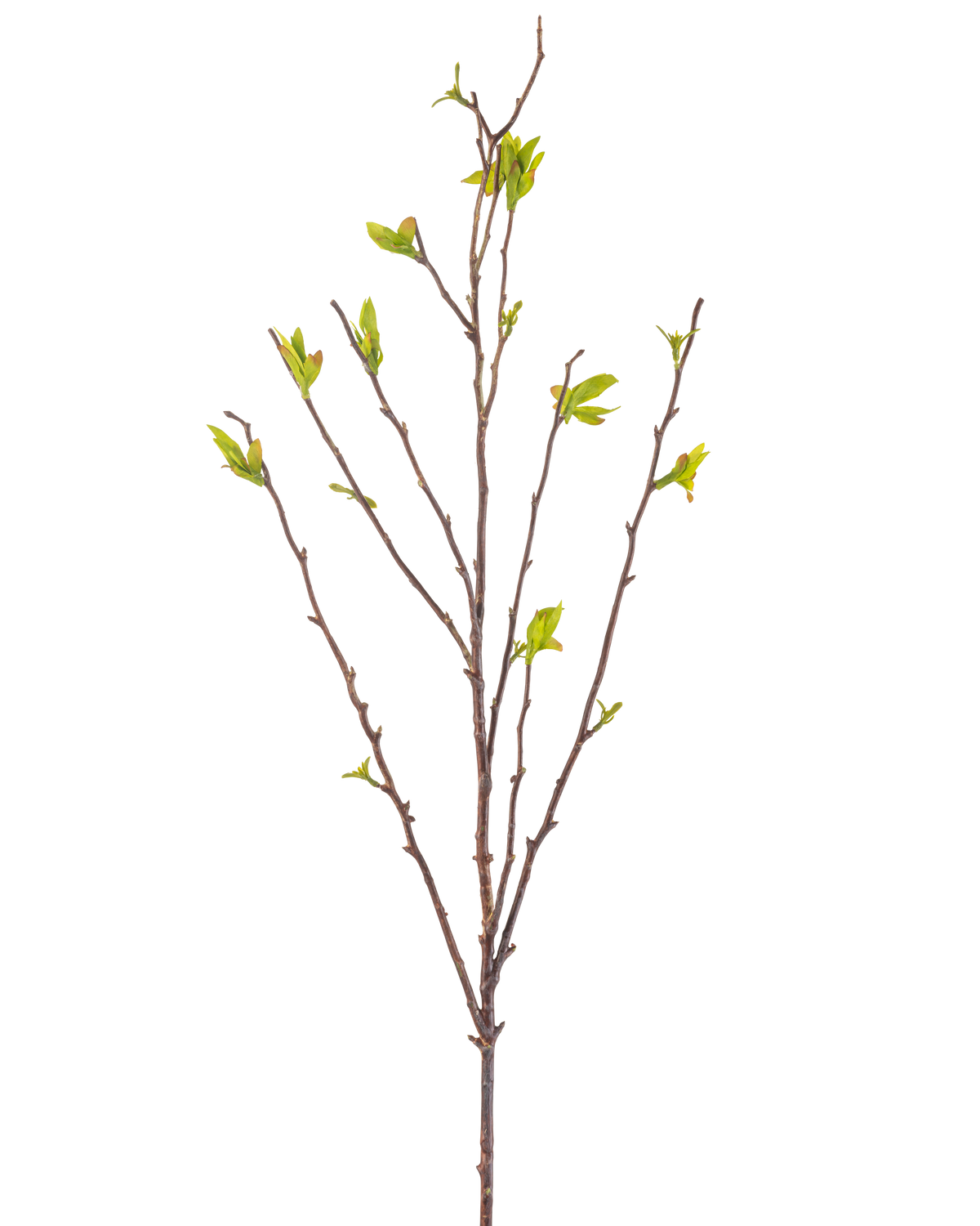 La Fleur Artificielle Winterzoet 81 cm verte est une branche artificielle avec de fines tiges brunes et de petites feuilles vertes sur fond blanc.