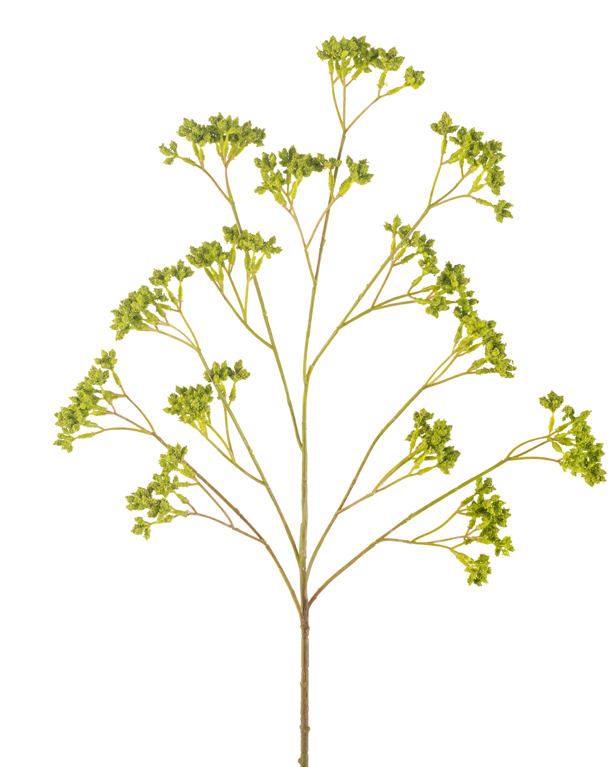 La Boite à Semences Branches Artificielles 80 cm verte possède une tige unique ramifiée avec plusieurs grappes de petites feuilles vertes, toutes disposées symétriquement sur un fond blanc.