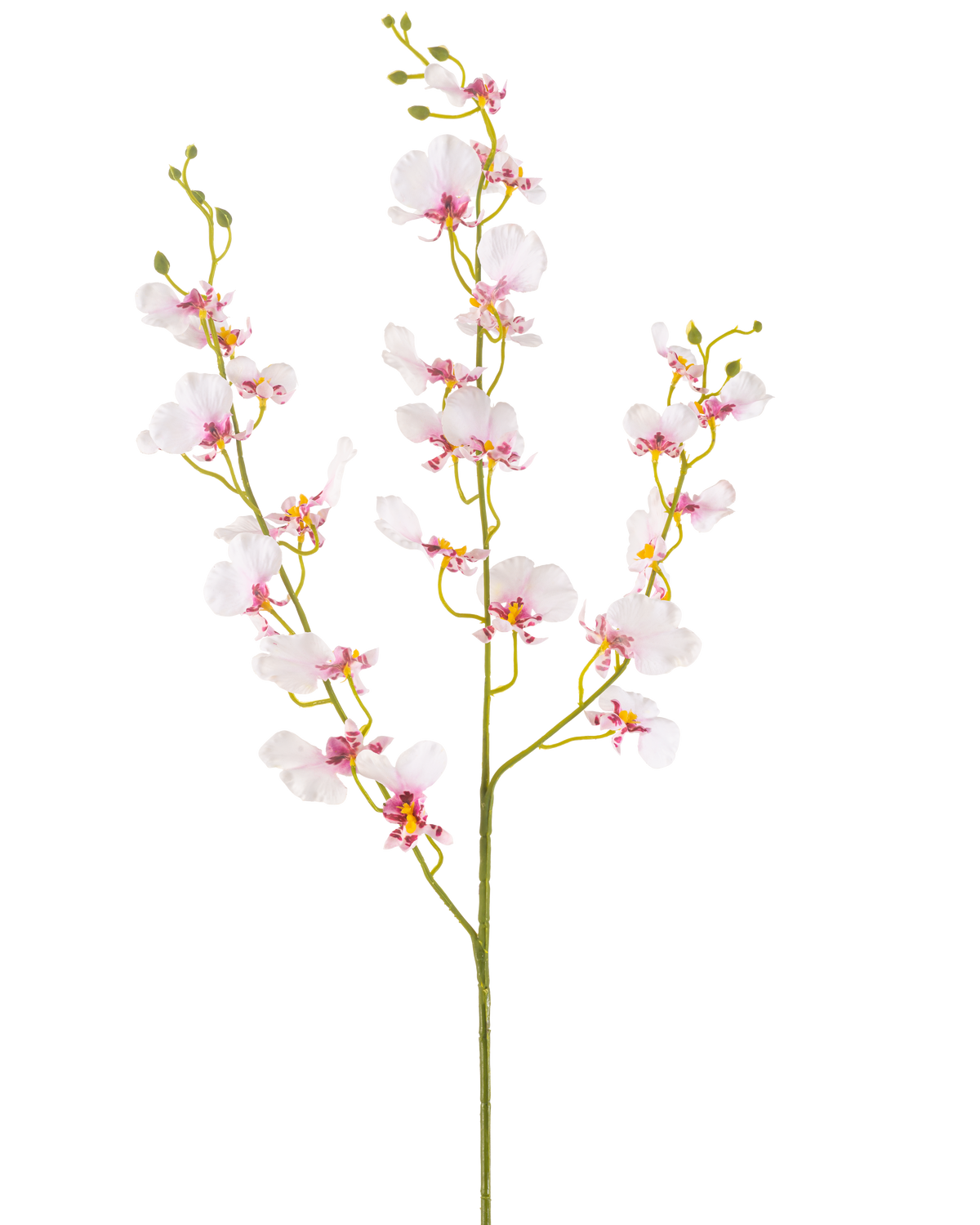 La fleur d'orchidée artificielle 98 cm blush a une seule longue tige avec de multiples fleurs et bourgeons d'orchidées rose clair délicats, de fines branches vertes et de petites feuilles ovales, le tout sur un fond blanc uni.