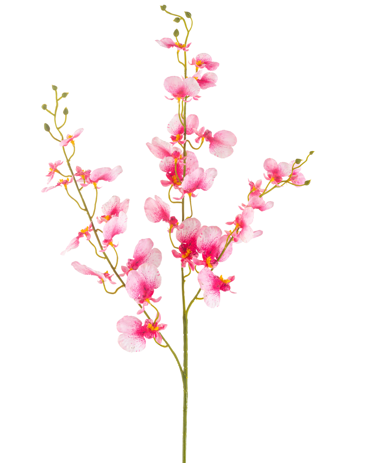 La fleur d'orchidée artificielle 98 cm rose a une tige unique avec de multiples branches de fleurs d'orchidée rose vif, des pétales délicats et des bourgeons verts, sur un fond blanc uni.