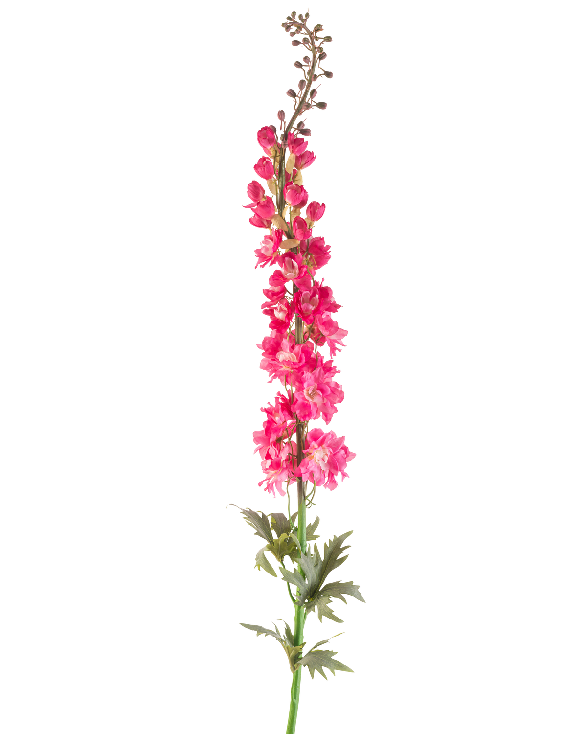 Une seule fleur artificielle Larkspur de 137 cm de couleur rose vif avec des feuilles vertes, isolée sur fond blanc.