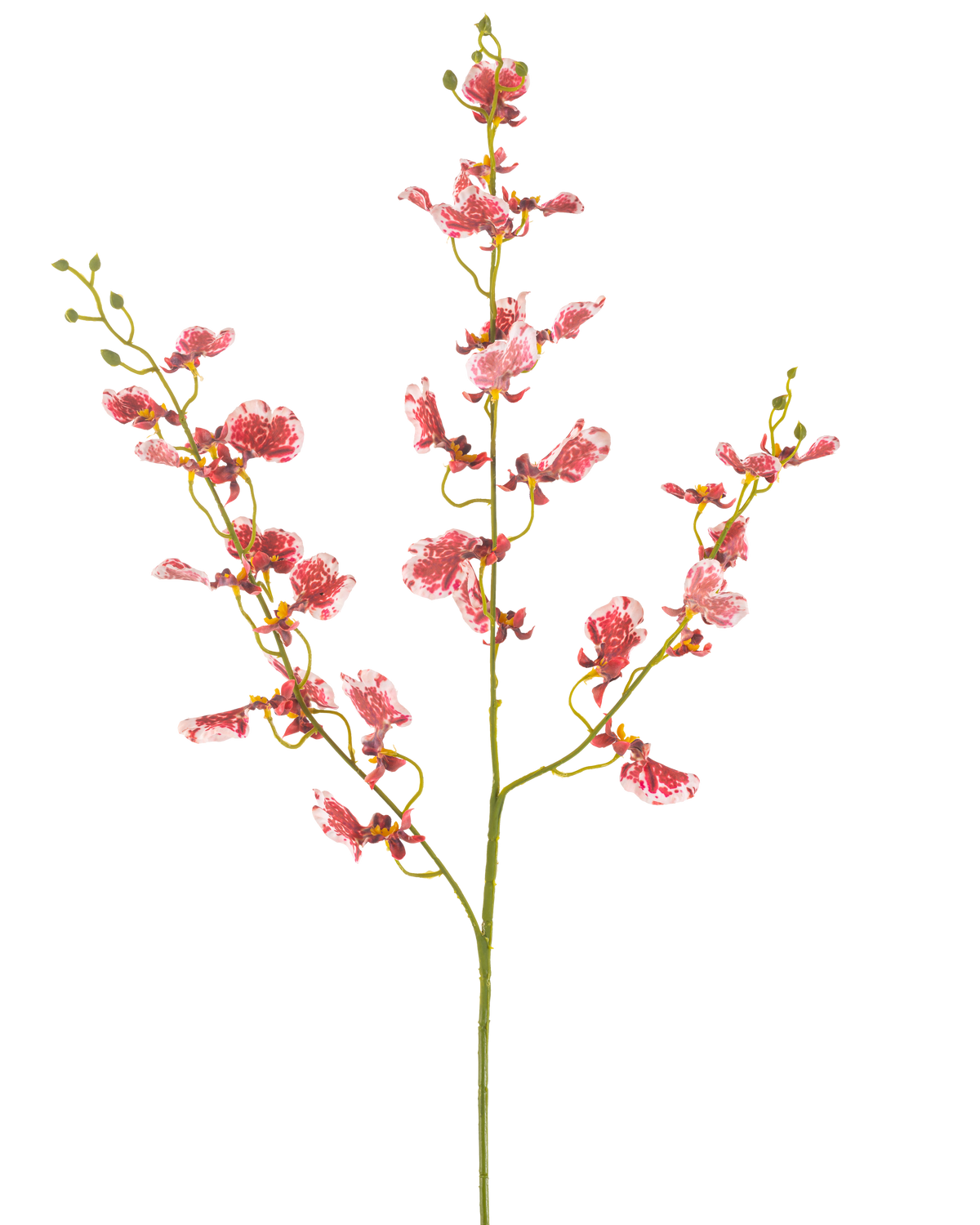 Une seule orchidée à fleurs artificielles rouge de 98 cm avec plusieurs branches, chacune avec des grappes de fleurs vibrantes, sur un fond blanc uni.