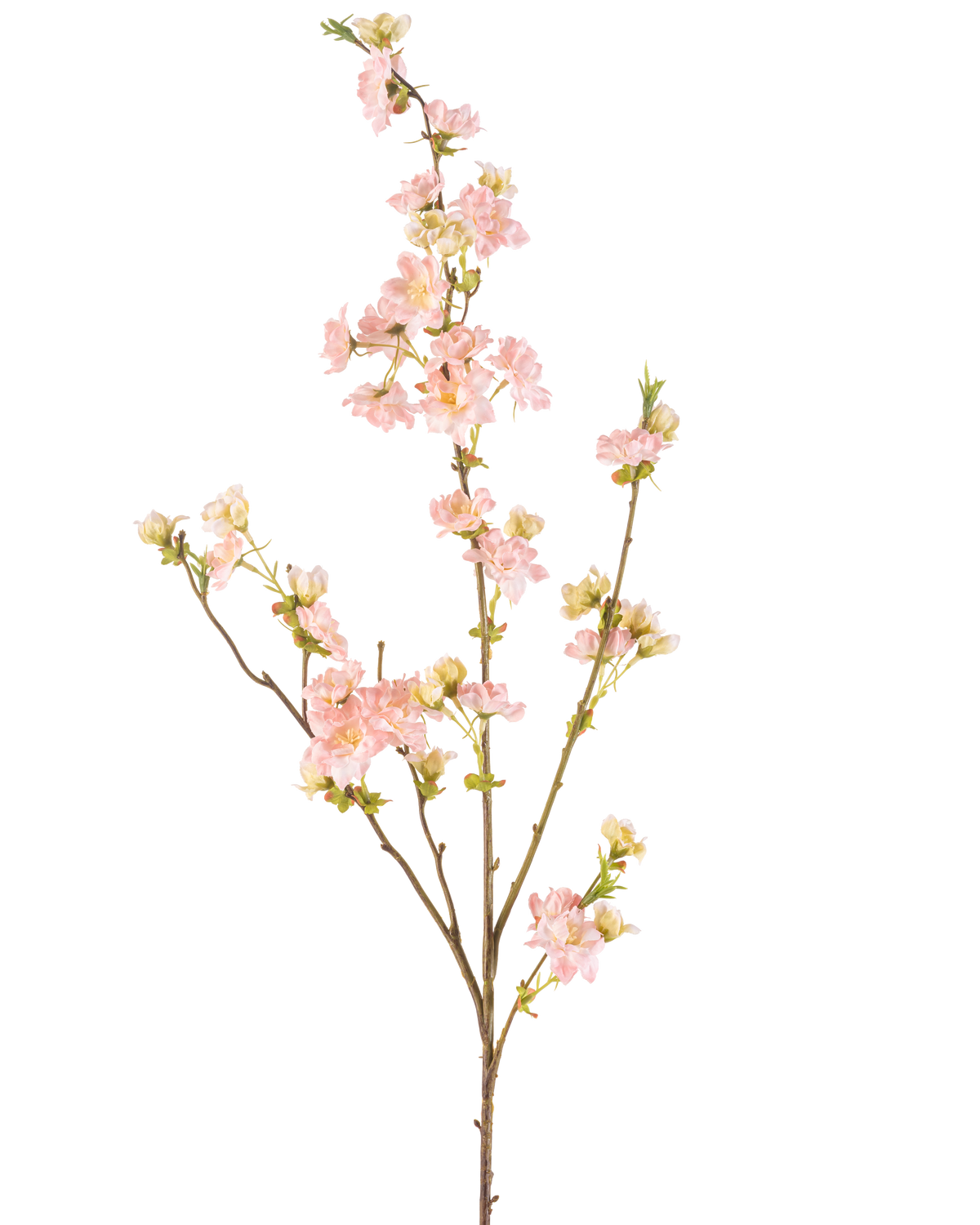 La Fleur de Cerisier Artificielle 94 cm rose clair possède une seule branche aux multiples ramifications, décorée de bouquets de délicates fleurs de cerisier rose clair et de bourgeons verts, sur un fond uni blanc.