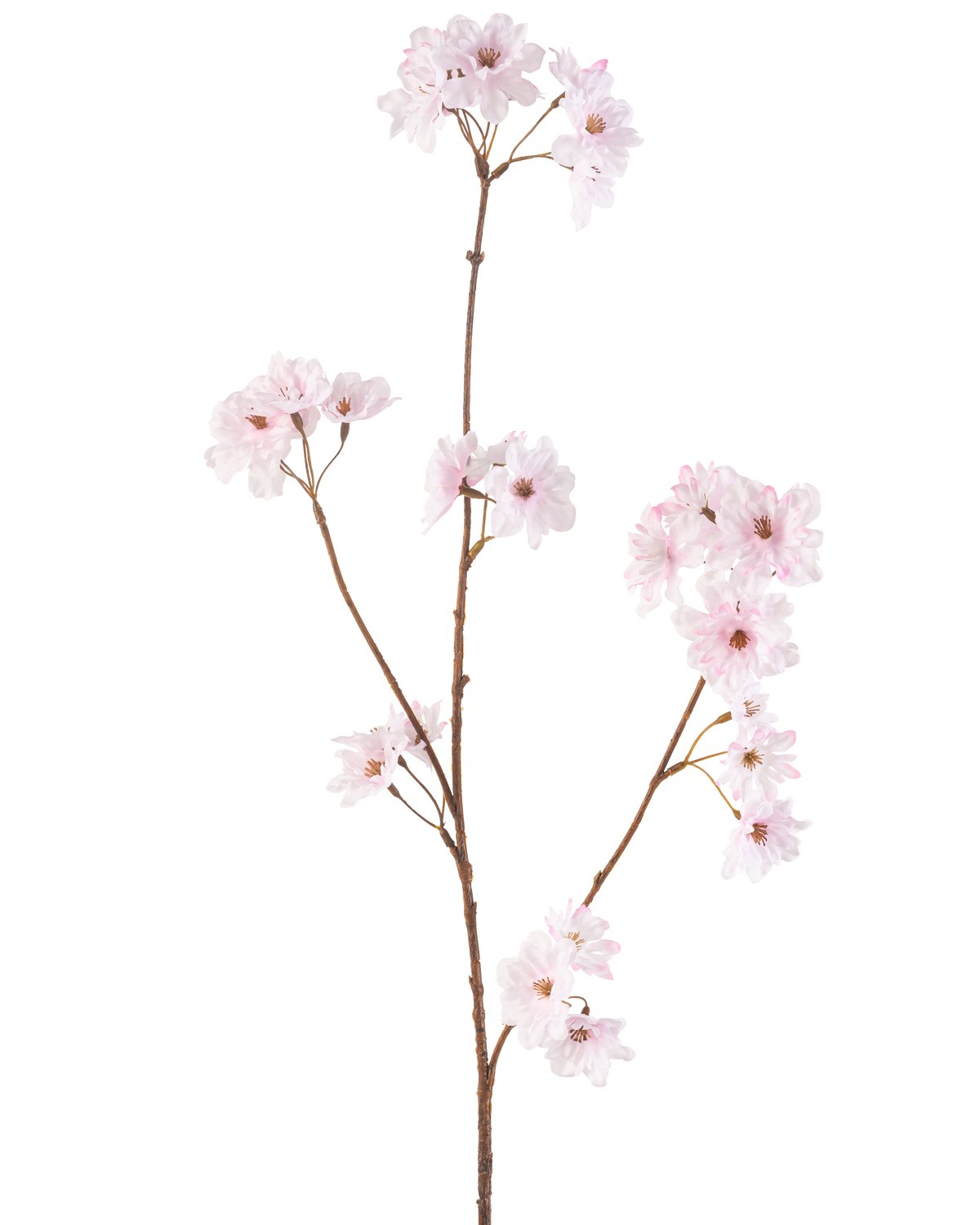 La Fleur de Cerisier Artificielle 85 cm rose clair a une seule tige marron mince avec des bouquets de délicates fleurs de cerisier rose clair, joliment isolées sur un fond blanc.
