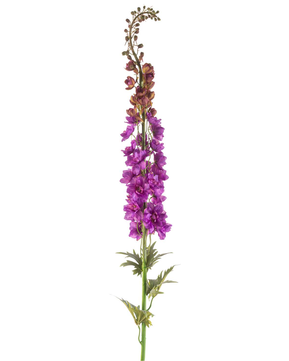 La fleur artificielle Larkspur 137 cm violet a une haute tige verte avec des feuilles profondément lobées et des grappes de fleurs violettes vibrantes le long du sommet, sur un fond blanc.