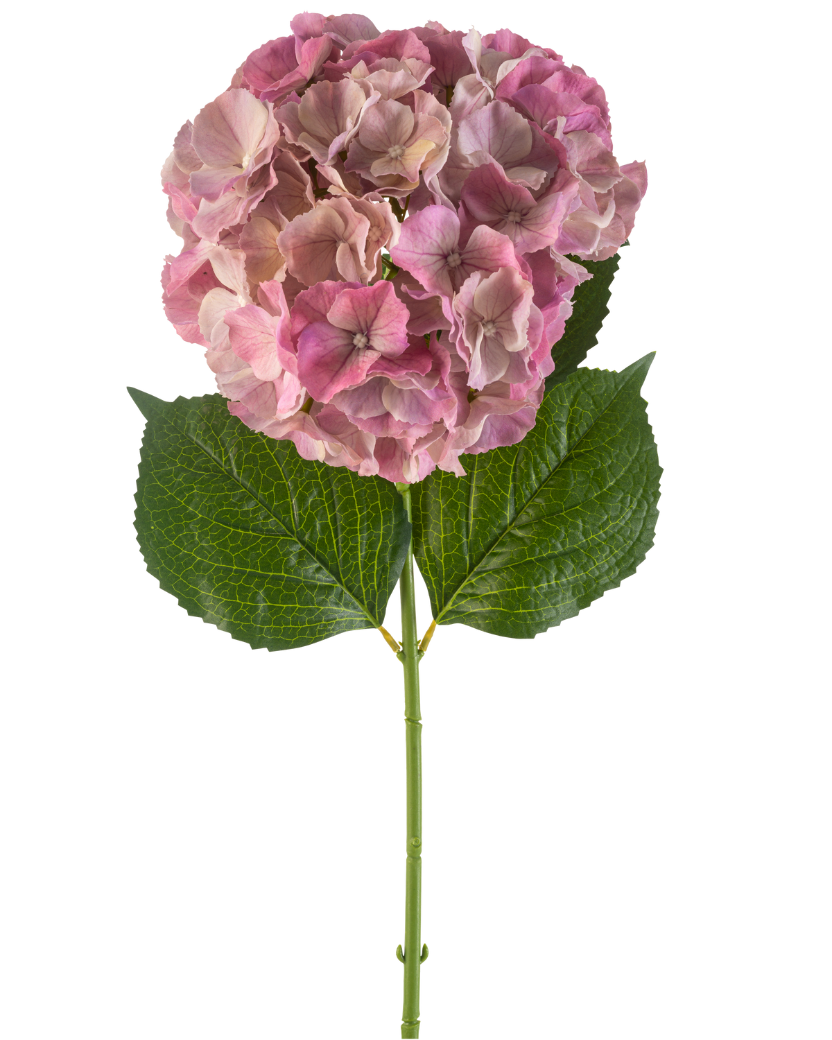 La fleur d'hortensia artificielle 75 cm mauve présente une seule fleur d'hortensia mauve avec des feuilles vertes sur une longue tige, sur un fond blanc.
