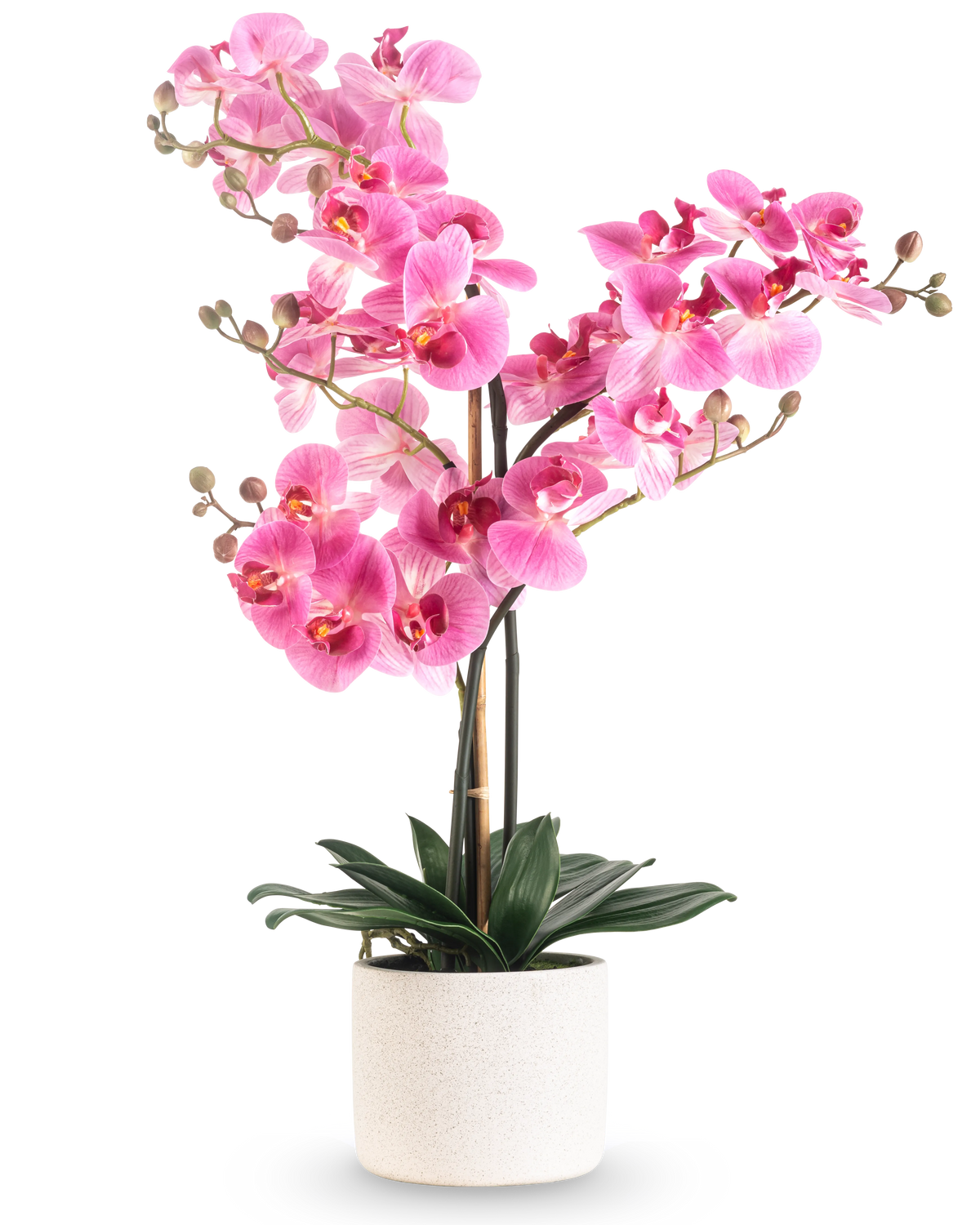 L'Orchidée Artificielle Real Touch 68 cm rose présente une orchidée rose vif avec de multiples tiges et feuilles vertes dans un pot en céramique blanche, sur un fond blanc uni.
