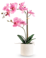 L'Orchidée Artificielle Real Touch 60 cm rose/blanc présente une orchidée rose et blanche avec diverses fleurs et feuilles vertes dans un pot blanc texturé, soutenue par un fin bâton de bambou, sur un fond blanc uni.