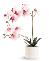 L'Orchidée Artificielle Real Touch 60 cm rose/blanc présente des fleurs rose clair et blanches avec des feuilles vert foncé, soutenues par un bâton de bambou, sur un fond blanc uni.