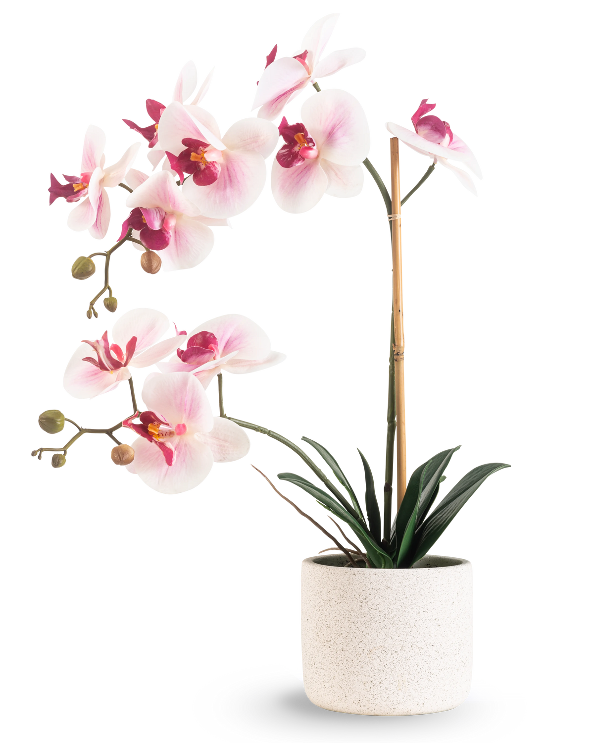 L'Orchidée Artificielle Real Touch 60 cm rose/blanc présente des fleurs rose clair et blanches avec des feuilles vert foncé, soutenues par un bâton de bambou, sur un fond blanc uni.