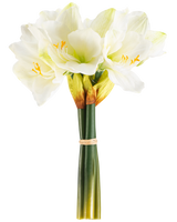 La Fleur Artificielle Amaryllis Real Touch blanche 36 cm présente des fleurs d'amaryllis blanches réalistes avec un centre vert clair et des étamines jaunes, nouées avec une bande beige autour de tiges vertes, parfaites sur un fond blanc uni.