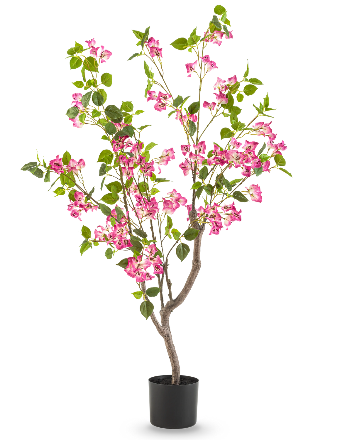 Le Bougainvillier Artificiel 120 cm possède de multiples branches, des feuilles vertes et des bouquets de fleurs rose vif sur un fond blanc uni.