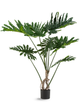 La Plante Artificielle Philodendron 120 cm possède de grandes feuilles vertes brillantes et profondément découpées et plusieurs longues tiges au tronc torsadé, sur un fond uni blanc.