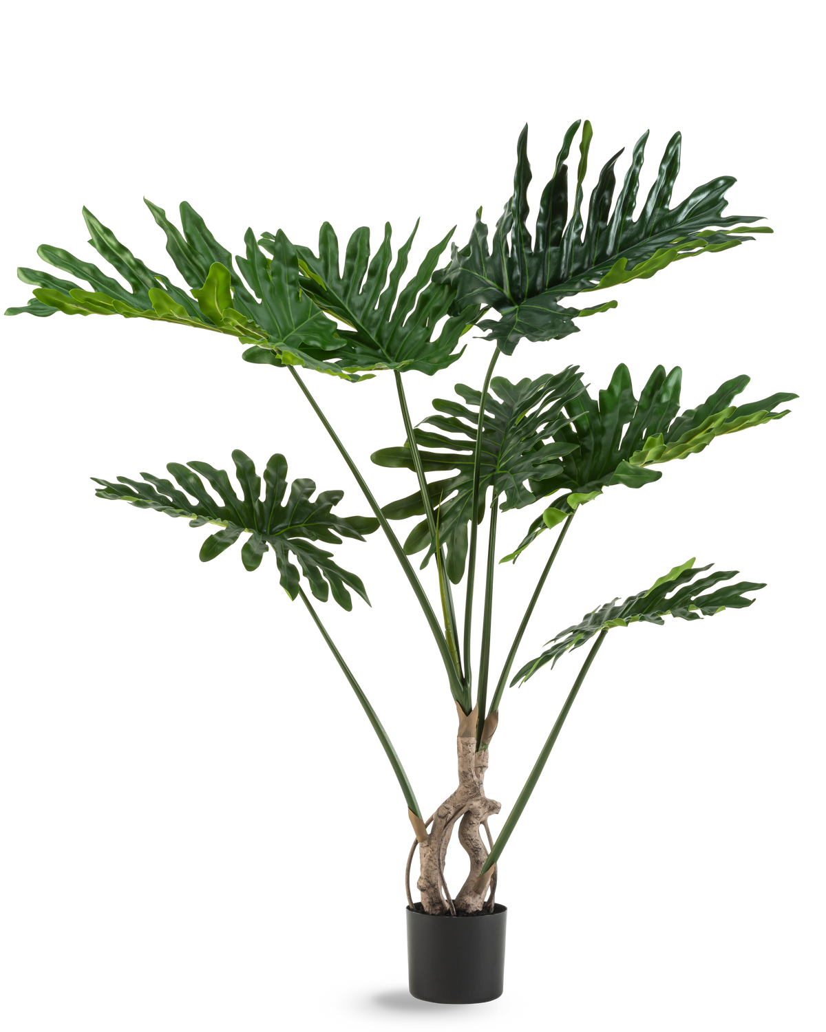 La Plante Artificielle Philodendron 120 cm possède de grandes feuilles vertes brillantes et profondément découpées et plusieurs longues tiges au tronc torsadé, sur un fond uni blanc.