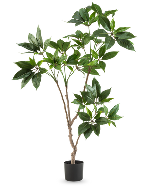 La plante artificielle Schefflera de 120 cm possède plusieurs tiges fines brunes avec des bouquets de grandes feuilles vertes brillantes dans un petit pot noir, sur un fond blanc uni.