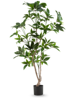 La plante artificielle Schefflera de 150 cm possède plusieurs fines tiges ligneuses aux feuilles vertes brillantes, dans un simple pot noir et sur un fond blanc uni.