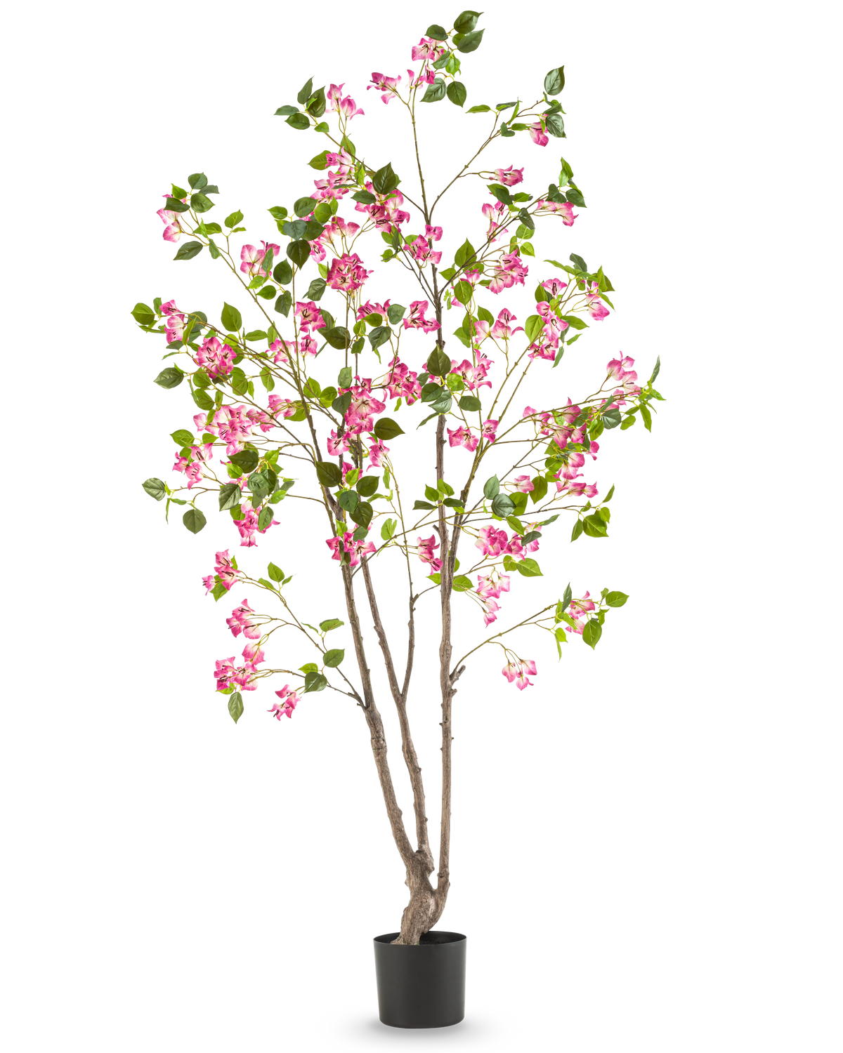 Le Bougainvillier Artificiel 180 cm est une grande plante artificielle avec plusieurs tiges brunes, des feuilles vertes et des fleurs rose vif dans un pot noir, sur un fond blanc uni.
