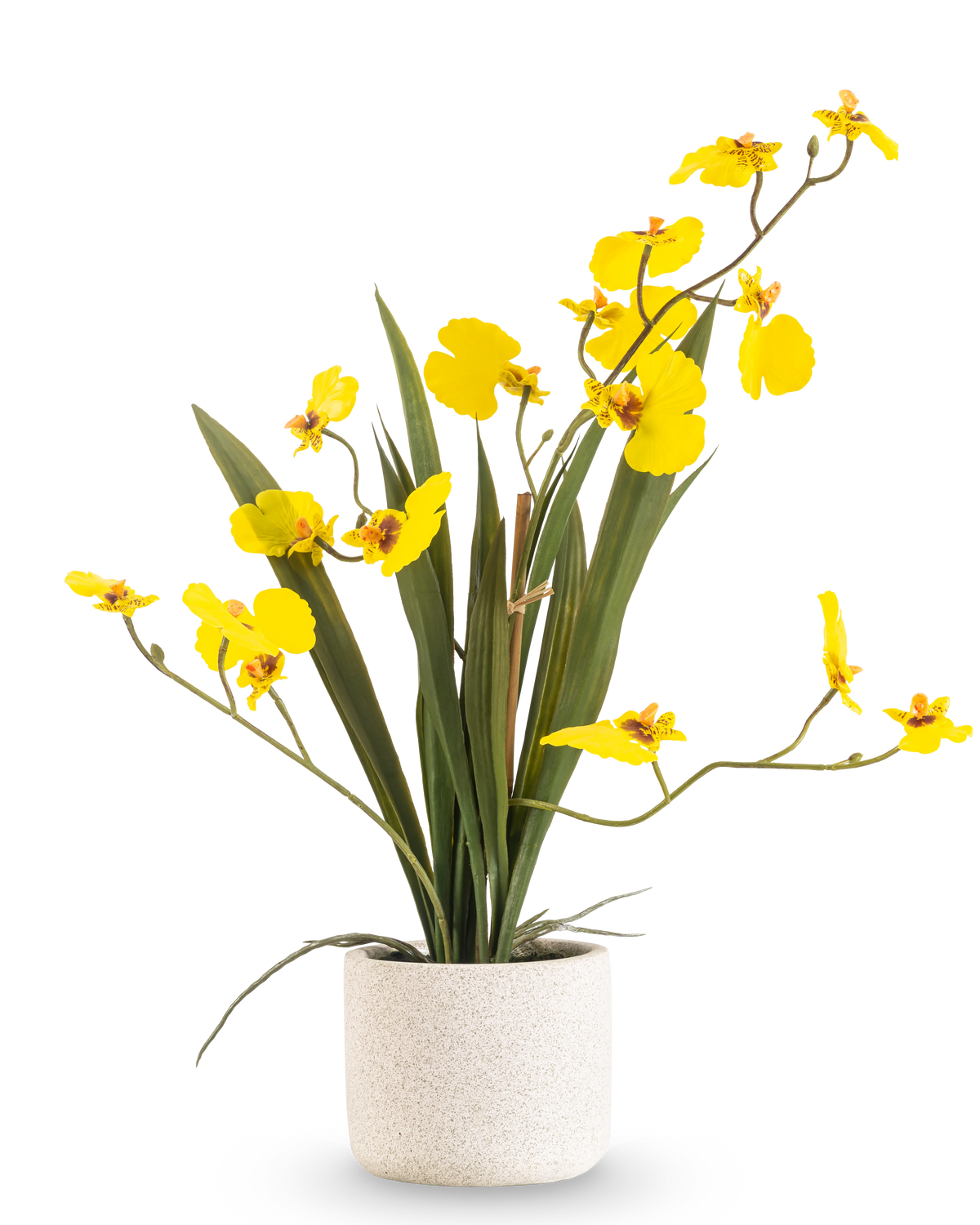 L'Oncidium artificiel Real Touch 48 cm jaune a des feuilles longues et minces et de longues tiges avec des orchidées jaune vif dans un pot blanc, sur un fond blanc uni.