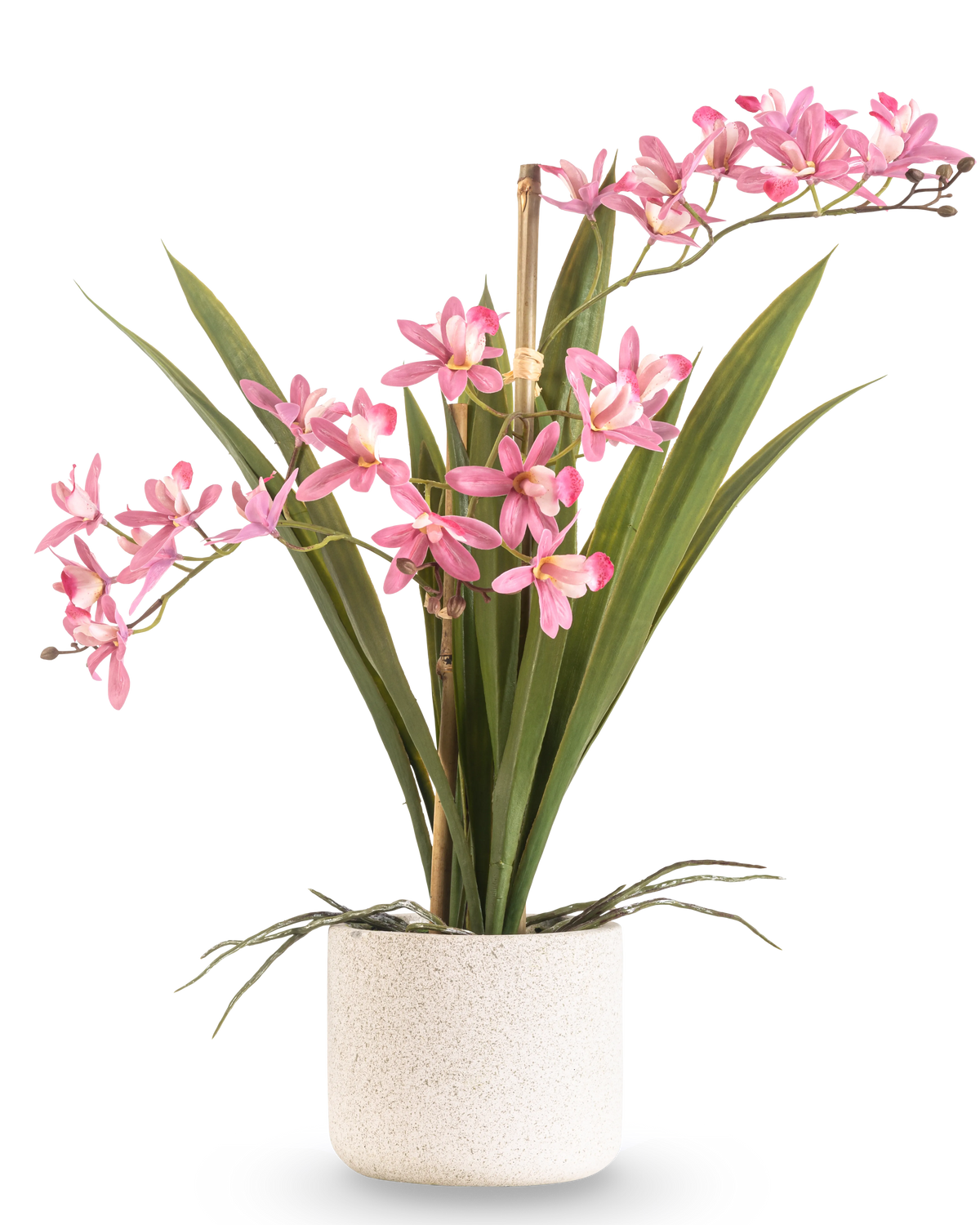 La Plante Artificielle Mini Cymbidium Real Touch 45 cm rose possède de longues feuilles vertes et plusieurs tiges de fleurs roses, disposées dans un pot simple à texture blanche et sur un fond uni.