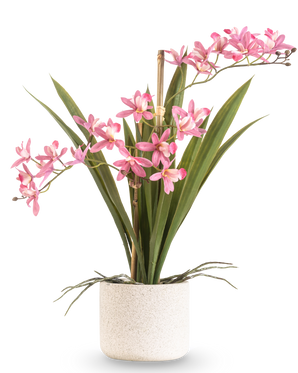 La Plante Artificielle Mini Cymbidium Real Touch 45 cm rose possède de longues feuilles vertes et plusieurs tiges de fleurs roses, disposées dans un pot simple à texture blanche et sur un fond uni.