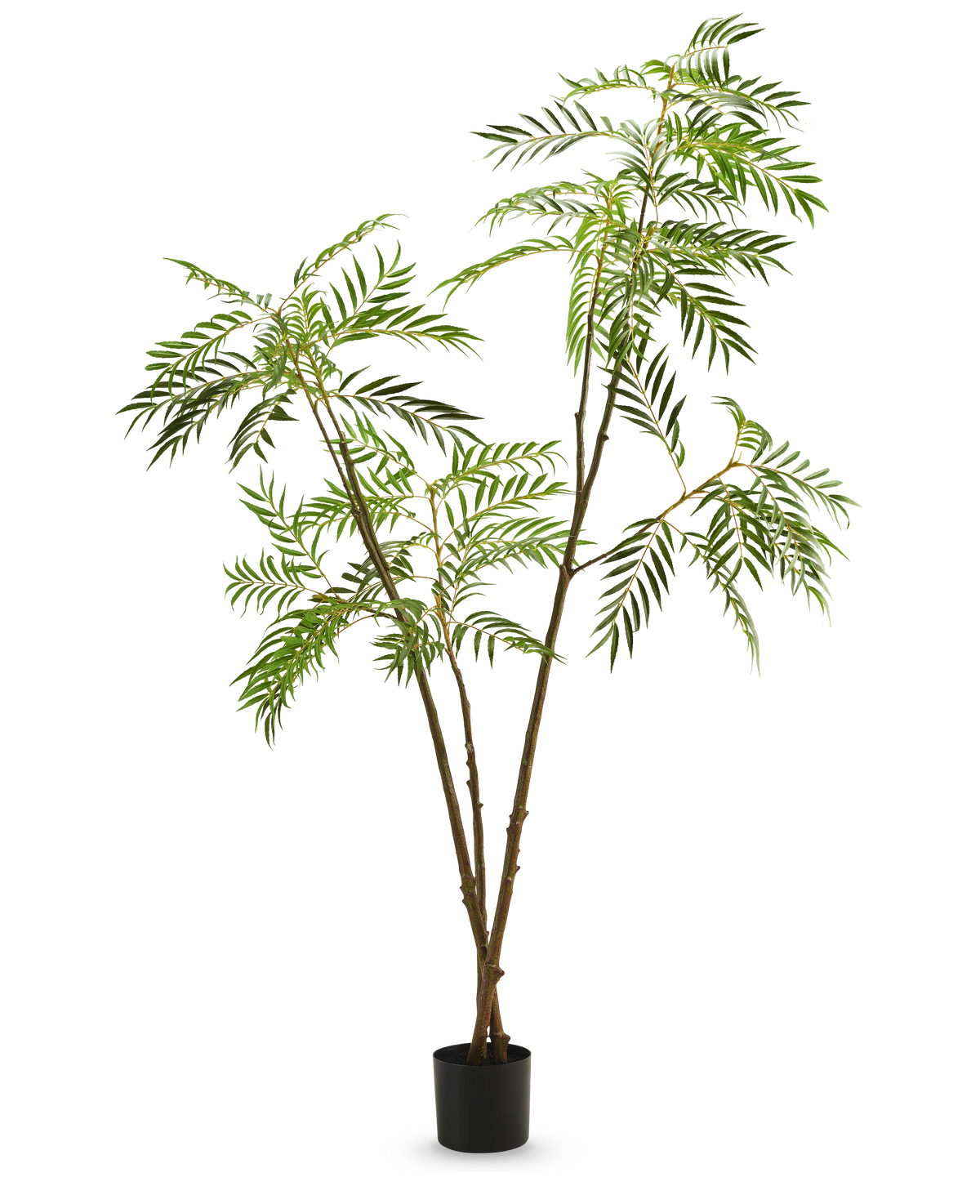 La plante artificielle Mahonia 210 cm est une grande plante artificielle en pot avec de fines tiges brunes et de longues feuilles vertes étroites, représentées sur un fond blanc uni.
