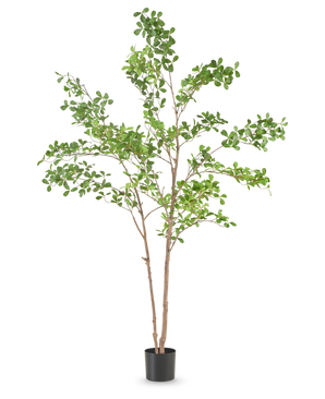 La Plante Artificielle Terminalia Catappa 150 cm est un grand arbre artificiel avec de fines branches brunes et des feuilles vertes dans un simple pot noir, sur un fond blanc uni.