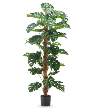 La plante artificielle Monstera 180 cm a de grandes feuilles vertes brillantes et une tige marron texturée dans un simple pot noir, sur un fond blanc uni.