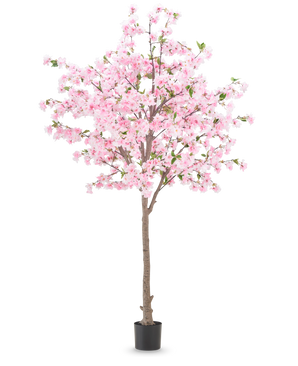 La plante de fleurs de cerisier artificielles 240 cm a un tronc marron avec de nombreuses branches ornées de fleurs roses et quelques feuilles vertes, placées dans un pot noir sur un fond blanc uni.