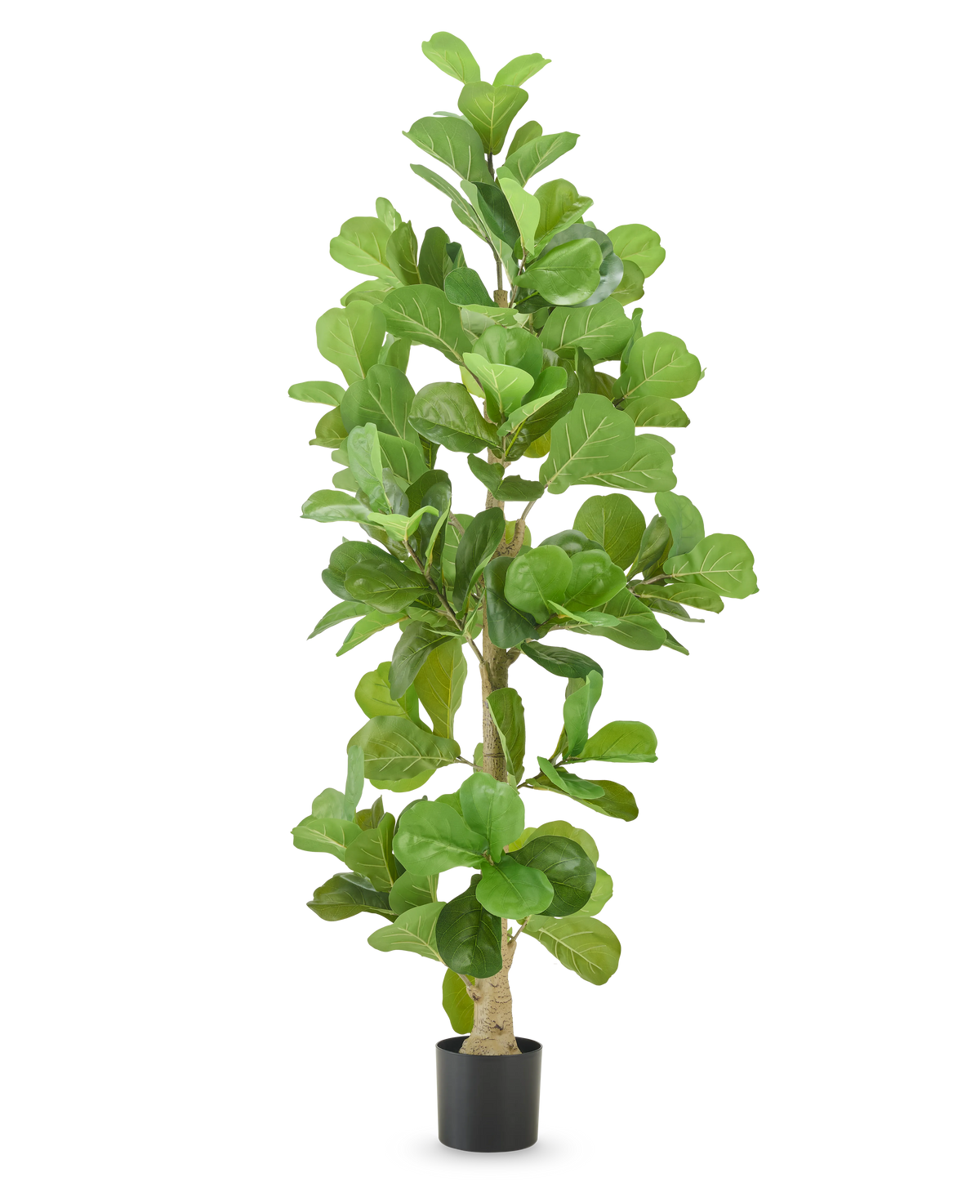 Le Plant de Tabac Artificiel 210 cm est un grand plant de tabac artificiel aux larges feuilles vertes brillantes dans un pot noir, isolé sur fond blanc.