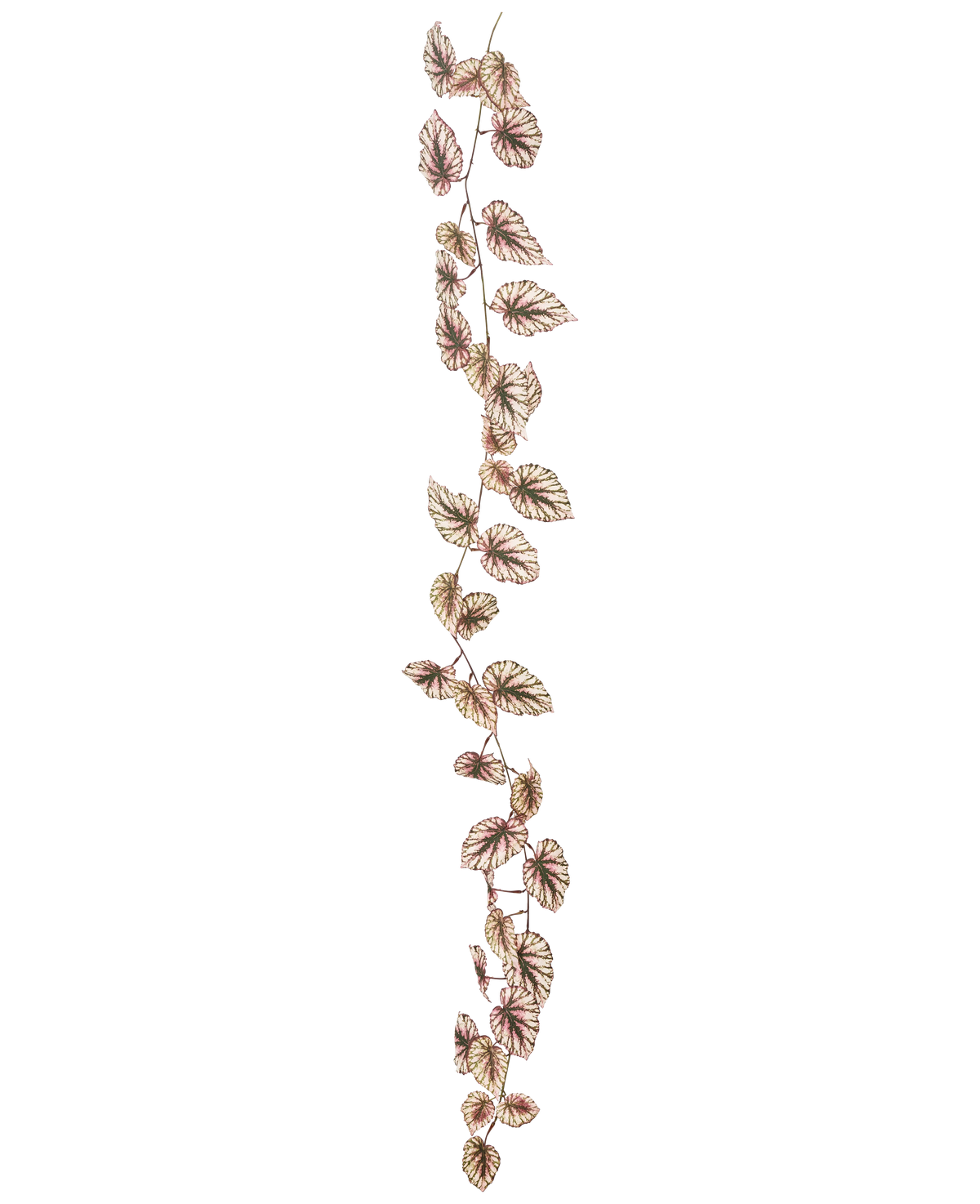 La guirlande de bégonia artificiel 180 cm UV présente une seule et fine vigne décorée de nombreuses petites feuilles vertes et roses, le tout sur un fond blanc éclatant.