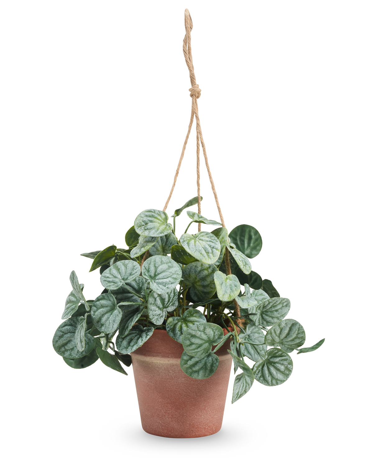 La feuille rugueuse artificielle de 29 cm grise en pot suspendu a des feuilles vertes rondes à motifs et est suspendue dans un pot sur une corde beige sur un fond blanc uni.