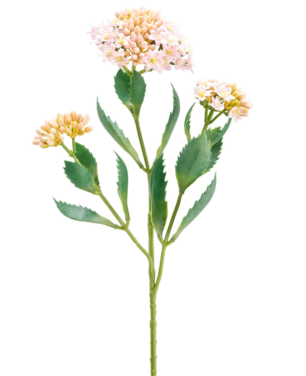 La Fleur Artificielle Kalanchoe 47 cm rose a une seule tige verte avec trois bouquets de petites fleurs rose clair et couleur pêche et des feuilles vertes allongées dentelées, isolées sur un fond blanc.