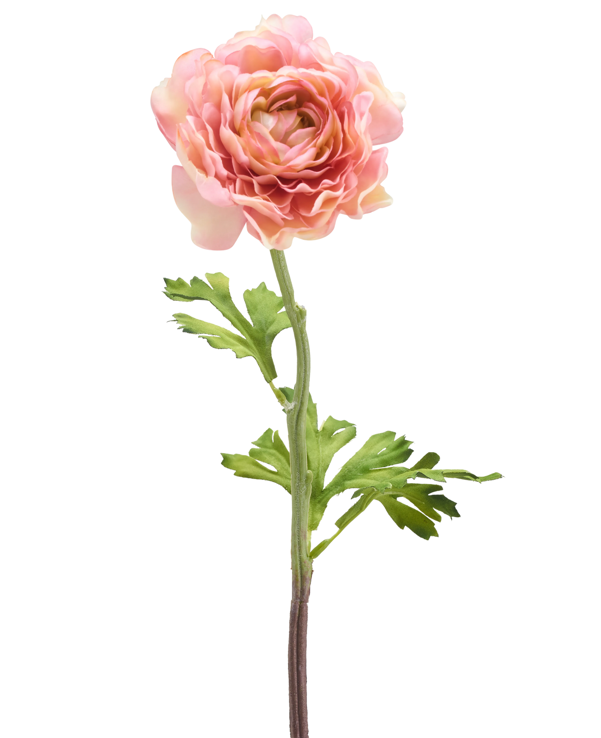 La Fleur Artificielle Renoncule 51 cm rose possède une seule renoncule rose avec des pétales superposés et des feuilles vertes sur une longue tige, isolée sur un fond blanc.