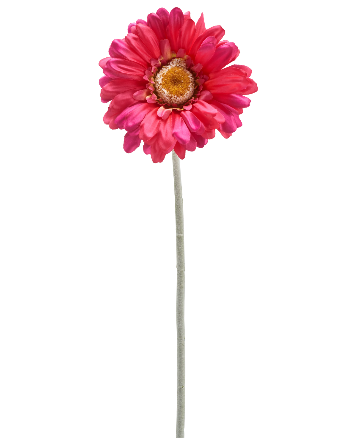 Une seule fleur de Gerbera artificielle de 53 cm bordeaux avec une longue tige verte, isolée sur fond blanc.