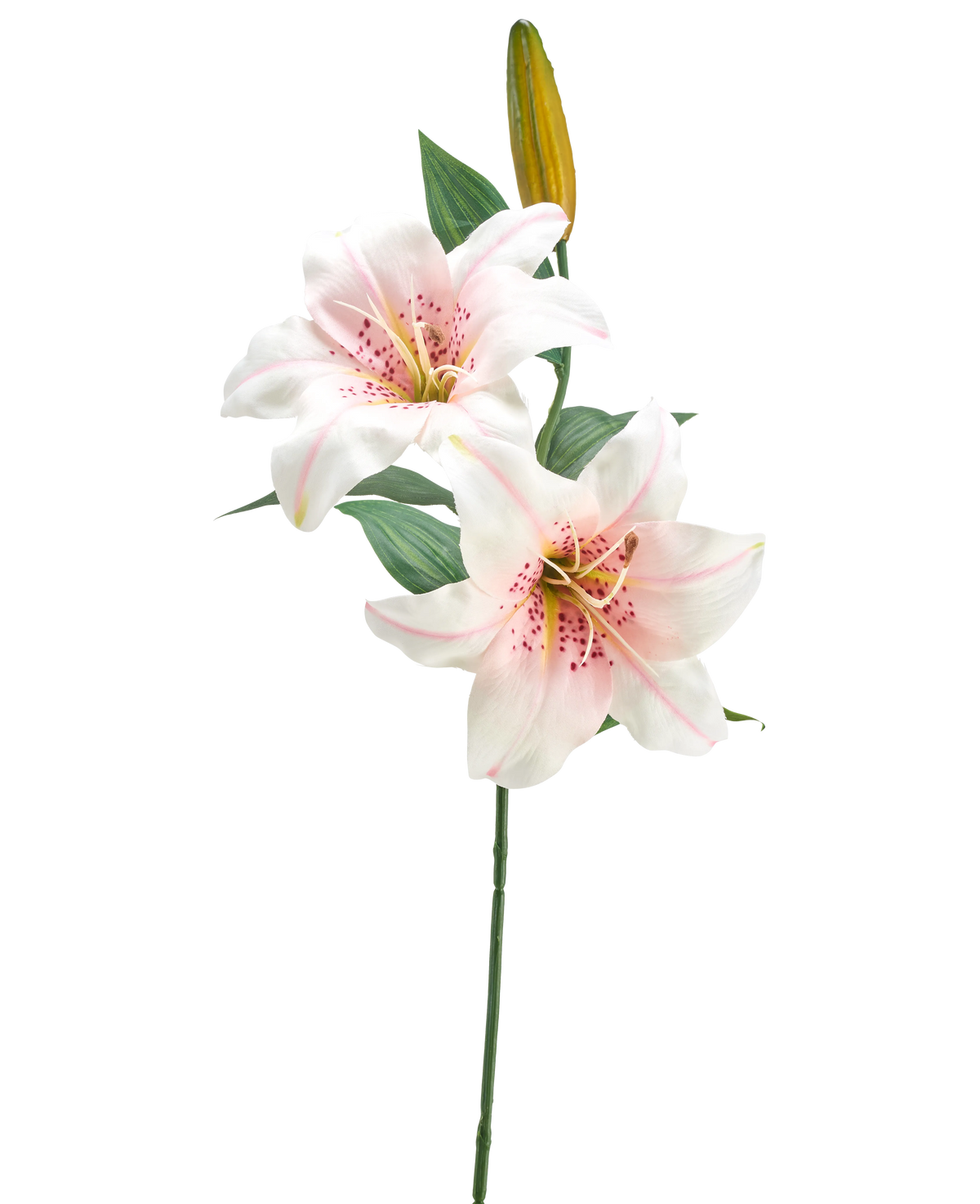 La Fleur de Lys Artificielle 66 cm blanc/rose a une seule tige avec deux lys blancs et roses ouverts, un bouton jaune fermé et des feuilles vertes, sur un fond blanc uni.