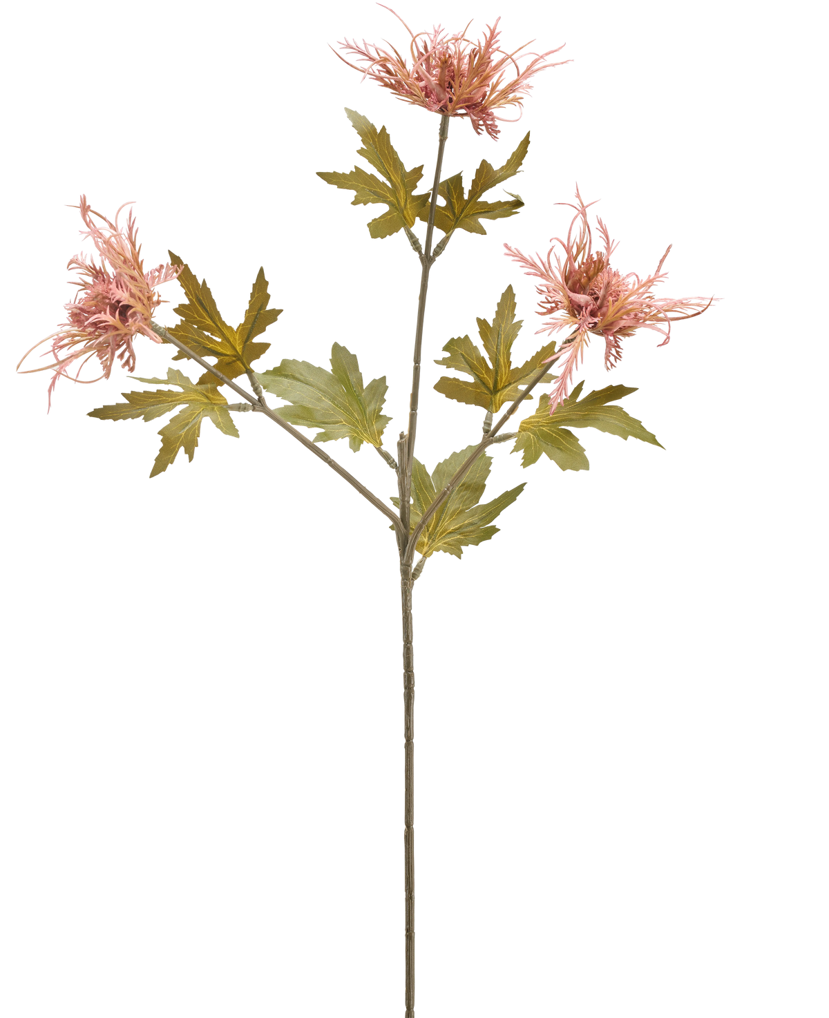 Une seule tige de chardon artificiel de 60 cm orange avec trois fleurs oranges épineuses et plusieurs feuilles vertes dentelées, isolées sur un fond blanc.