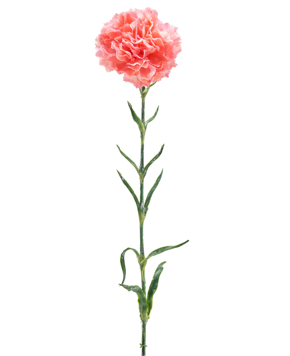 L'Œillet Fleur Artificielle 68 cm rose saumon est un œillet artificiel unique avec des volants de pétales rose saumon, une longue tige verte et plusieurs feuilles vertes, isolées sur un fond blanc.