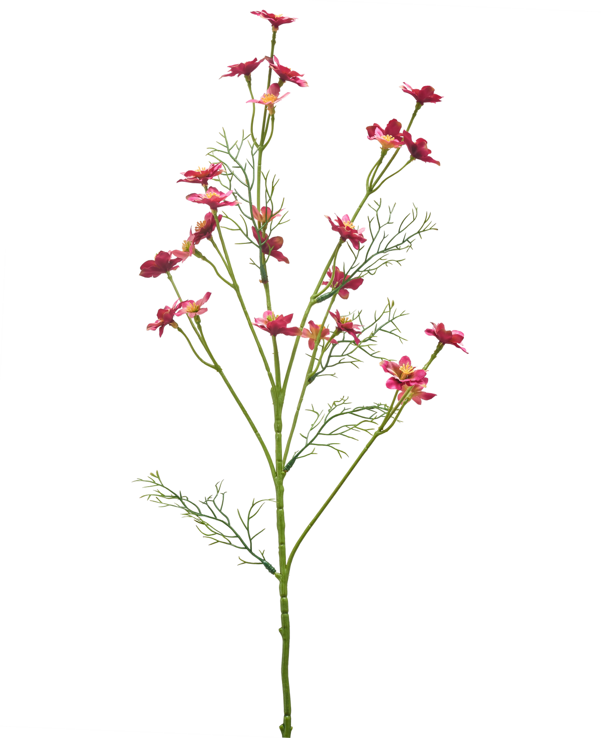 Une fleur sauvage artificielle de 68 cm de couleur rose foncé, avec de fines tiges vertes, des feuilles plumeuses et plusieurs petites fleurs rose vif sur fond blanc.