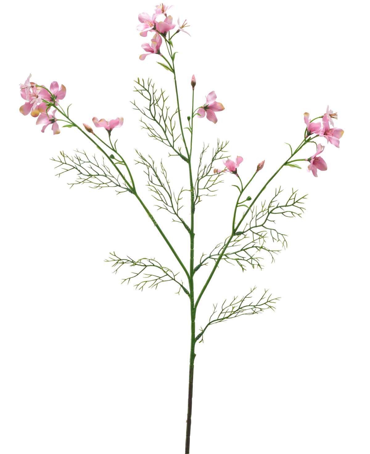 La Fleur Artificielle Wild Delphinium 71 cm rose clair possède une seule tige verte avec des feuilles plumeuses et plusieurs bouquets de délicates fleurs rose clair sur un fond blanc uni.