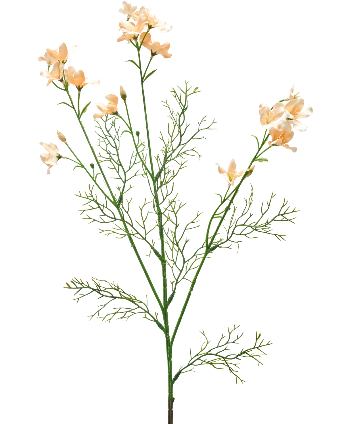 La Fleur Artificielle Wild Delphinium 71 cm crème clair possède une tige artificielle délicate avec des fleurs de couleur crème clair et de fines feuilles vert clair comme une plume, sur un fond blanc uni.