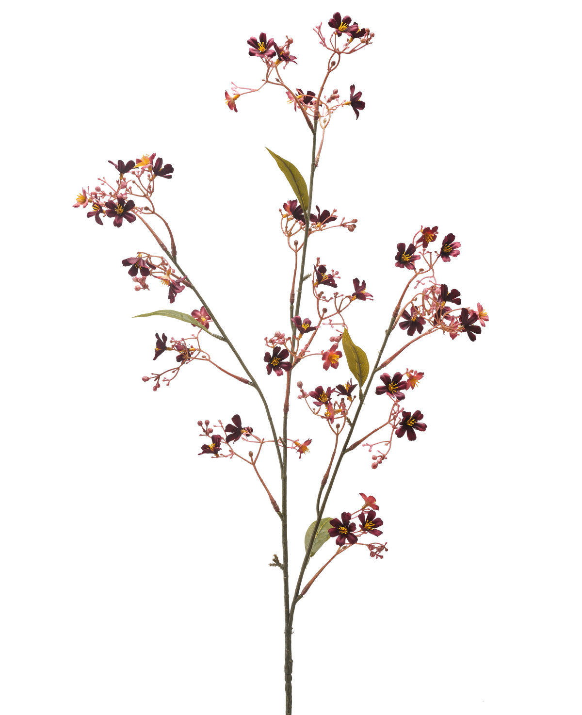 La Fleur Artificielle Daphné 108 cm bordeaux possède une tige unique avec plusieurs branches fines, de petites fleurs violet foncé et roses au cœur jaune et quelques feuilles vertes sur un fond uni blanc.