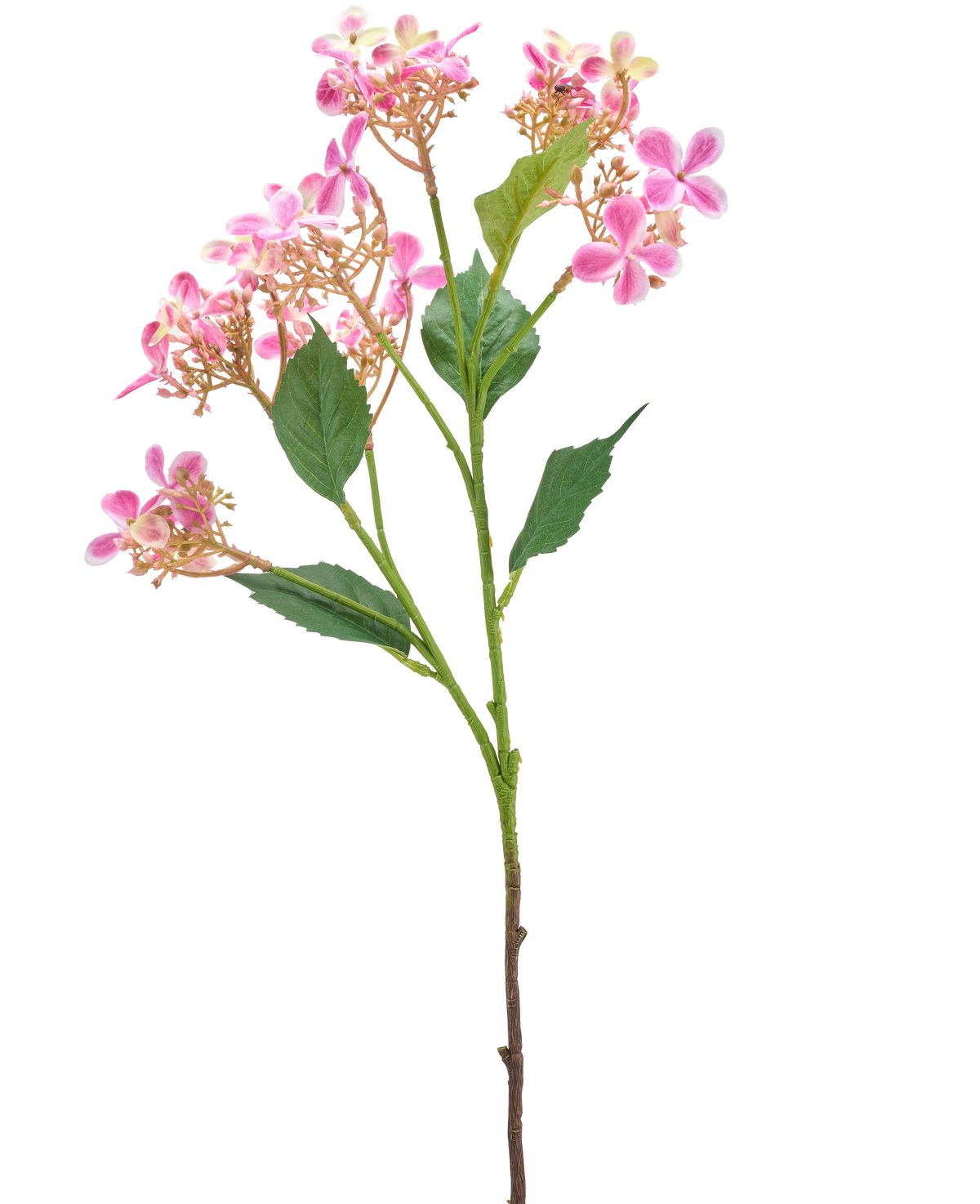 La Fleur Artificielle Hortensia Sauvage 62 cm rose possède une seule tige avec plusieurs bouquets de petites fleurs roses et blanches et des feuilles vertes, isolées sur un fond blanc.