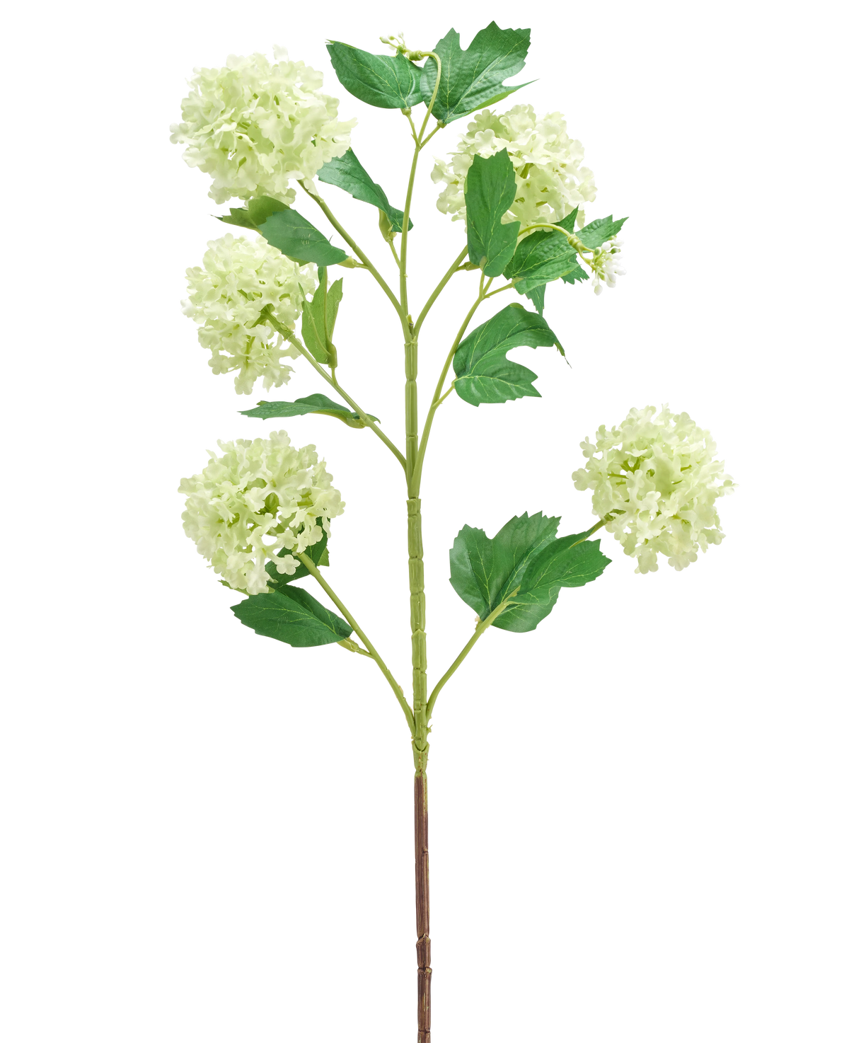 La Fleur Artificielle Boule de Neige 77 cm verte possède une seule tige verte avec de multiples branches, chacune décorée de bouquets de fleurs rondes vert clair et de plusieurs feuilles vertes, le tout isolé sur un fond blanc.