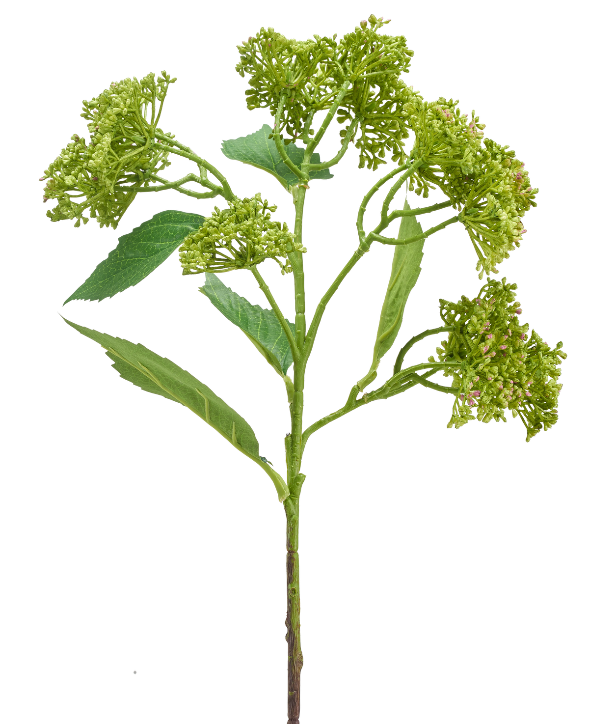 Une fleur d'hortensia artificielle de 56 cm vert/rouge avec une tige verte avec des grappes de bourgeons verts compacts et des feuilles allongées, représentée sur un fond blanc.