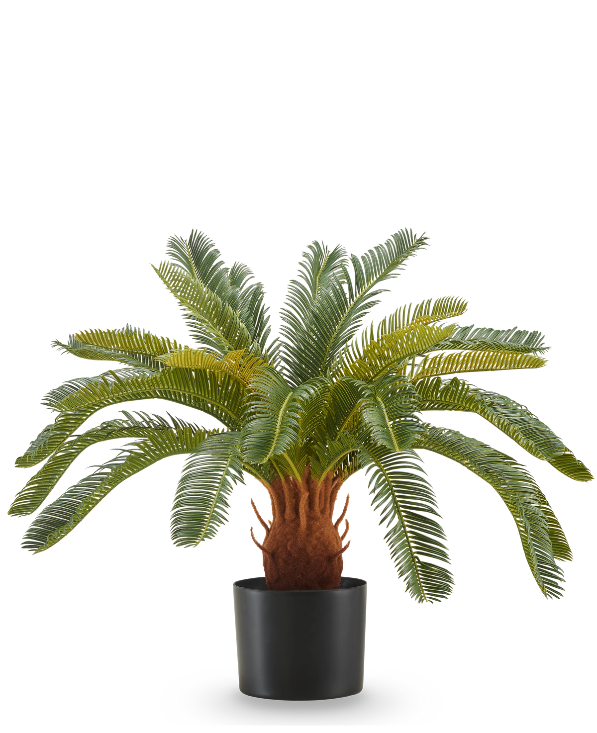 La Plante Artificielle Cycas UV 60 cm possède de longues feuilles vertes courbées et une tige épaisse et brune avec texture dans un pot noir, sur fond blanc.