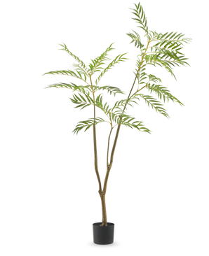 La plante artificielle Mahonia 180 cm est une grande plante artificielle avec des tiges fines et de longues feuilles vertes étroites dans un simple pot noir, représentée sur un fond blanc uni.