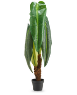 Une grande plante artificielle Anthurium de 120 cm avec de grandes feuilles vertes brillantes et une tige brune avec une structure, présentée dans un petit pot noir sur fond blanc.