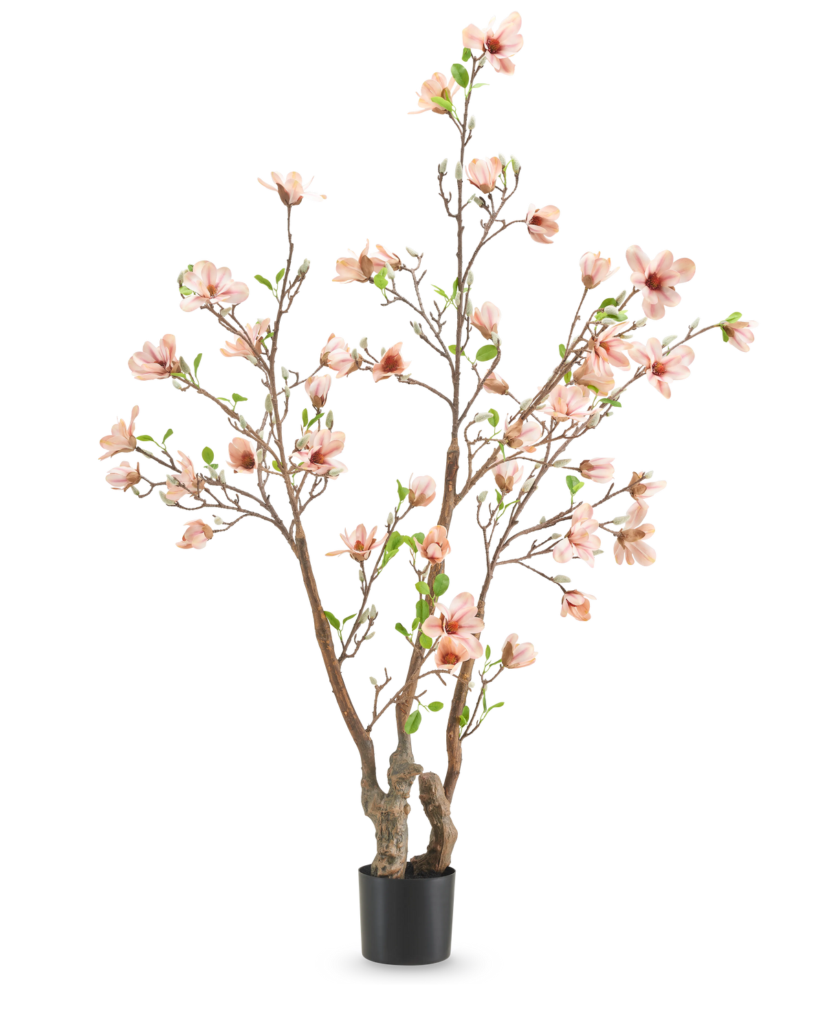 La Plante Artificielle Magnolia 180 cm est un arbre artificiel en pot avec de multiples branches, des fleurs rose clair et des feuilles vertes sur un fond uni blanc.